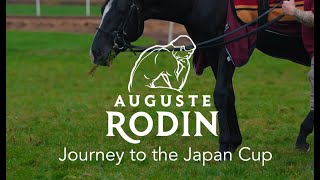 Episode 1  Auguste Rodins Journey to the Japan Cup [upl. by Yerdua]