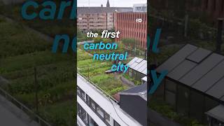 Copenhagen  The first carbon neutral city  DW Documentary [upl. by Sabino]