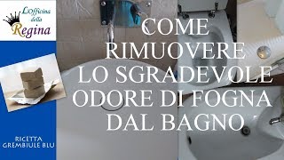 Come rimuovere lo sgradevole odore di fogna dal bagno [upl. by Topper]