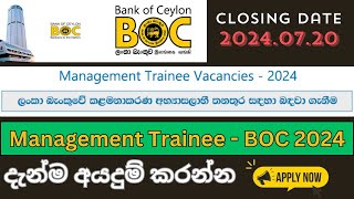 BOC Management Trainee 2024 I Bank of Ceylon I Bank Job 2024 [upl. by Alexi]