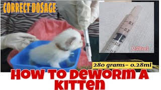 HOW TO DEWORM A KITTEN [upl. by Ahsert]