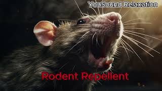 8 Hours of Ultrasonic Rodent Repellent Sound  HighFrequency Pest Control  Keep Mice and Rats Away [upl. by Inaffets]