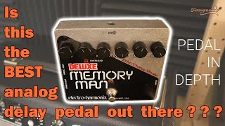 Pedal In Depth  ElectroHarmonix Deluxe Memory Man [upl. by Einnos]