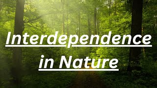 Interdependence in Nature [upl. by Ashbey]