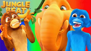 Colorful Animals  Jungle Beat  Cartoons for Kids  WildBrain Zoo [upl. by Aydidey]