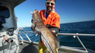 Experience Westport  Charter Fishing for Lingcod [upl. by Anekahs]