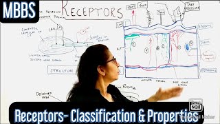 CNS Receptors Classification Properties of Receptors DrBhakti Kharate mbbs cns neet [upl. by Nanci]