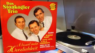 DAS STOAKOGLER TRIO i bin heit vater word n 1991 👍👈👍👉👍 [upl. by Sewell389]