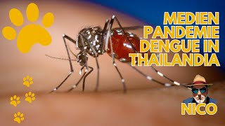 Medien Pandemie Dengue in Thailand  Impfen oder nicht [upl. by Idihc]