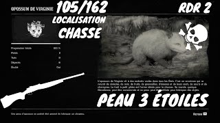 Tout Les Animaux 105162 LOpossum De Virginie Localisation Red Dead Redemption 2 [upl. by Anahoj]