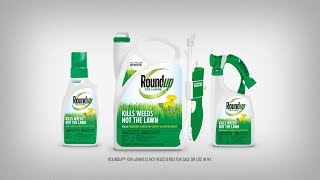 How to Use Roundup® For Northern Lawns Products Properly to Kill Weeds in Your Lawn [upl. by Adnil]