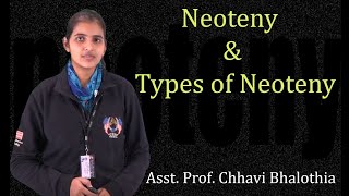 Neoteny Types of Neoteny by Ms Chhavi Bhalothia  BSc MSc  Guru Kpo [upl. by Neelra]