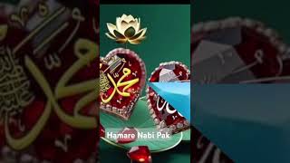 Wo Kaun  Taklif Ke Lie Hazrat Ayeshatraining videoshortvideo viralvideo funnyvideo [upl. by Niuqram]