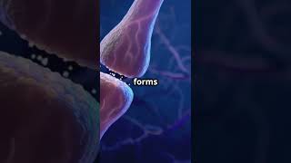 Endocytosis and Exocytosis How Cells Move Materials in and out of the Cell [upl. by Fredric]