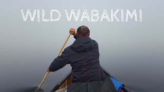 Wild Wabakimi  Series Trailer [upl. by Petracca]