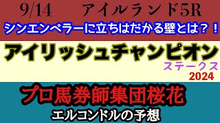 エルコンドル氏のアイリッシュチャンピオンステークス2024予想！！シンエンペラーの奮起に期待！しかしこのレースは名門厩舎の意地と記録が壁になる？！ [upl. by Brick]