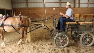 Harnessing amp Driving A Horse  Part 7 Properly Get In amp Off Buggy [upl. by Atsugua]