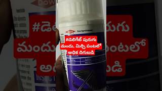 spinetoram 117 sc uses in telugudelegate insecticide telugudelegate pesticide uses in telugu [upl. by Elysha]