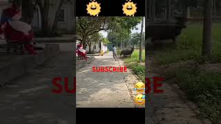 TAKOT ANG KALABAW SA PALAKAquot comedy pinoymovierecaps funny comedyvideo kalabaw palaka [upl. by Efram]