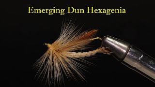 The Emerging Dun Hexagenia [upl. by Aken]