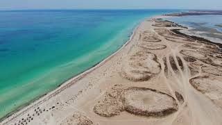 Lîle aux flamands roses Djerba  Tunisie [upl. by Yhtomit]