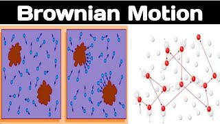 Define Brownian motion with examples in urdu hindi [upl. by Olathe]