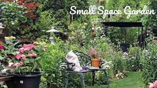 How I Grow Plants In A Small Space  Perennial Flower Tour [upl. by Gnap]