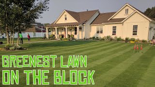 SECRET to Keep Your Lawn GREEN ANYTIME [upl. by Elnukeda]