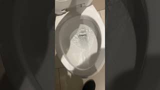 Proflo Front Flusher Toilet Versus A Diarrhea Wad [upl. by Hennessy]