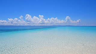 Discover The Beauty of The Best Beach in The Philippines [upl. by Yevad]