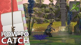 How to Catch Phyllinos in FFXIV for Pure Aqueous Glioaether [upl. by Reichert]