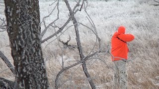 Saskatchewan Whitetail hunt [upl. by Heymann56]