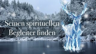 Wie finde ich mein eigenes Schutztier Krafttier  Anleitung Inspirationen amp Tipps [upl. by Ahsoet437]