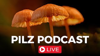 Pilz Podcast Live Folge 80 [upl. by Valsimot]