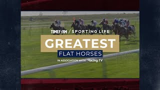 The GREATEST flat horses of the century [upl. by Shayna]