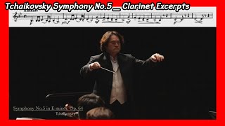 ◐Tchaikovsky Symphony No5 Clarinet Excerpts◑  차이코프스키 5번 교향곡 클라리넷 액섭 슈테른필하모닉오케스트라 [upl. by Selrahc]