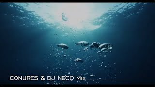 Conures amp DJ NECO Lost amp Find 2024 Special 🎧 20240922 [upl. by Aissatsan]