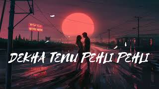 Dekha Tenu Pehli Pehli Baar Ve  Lofi music  SlowedReverb  Hindi Lofi AAD SOUND [upl. by Ylehsa]