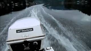 Johnson 75 seahorse 12 aluminum boat [upl. by Vallonia]