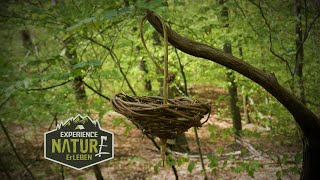 Bushcraft Korb flechten in 25 Minuten  Ganz schnell eine Körbchen selber basteln  DIY im Wald [upl. by Balbinder11]