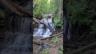 A quick look at Wagner Falls lifeintheup [upl. by Crellen]