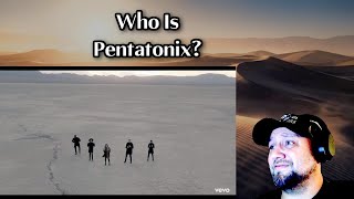 First Reaction  Pentatonix  Hallelujah Official Video Big Fellaz [upl. by Borras]