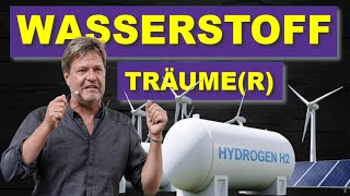 🤔HABECKs Traumprojekt 🤔 Wasserstoff Kernnetz Umbau für 19 Mrd Euro genehmigt😱 [upl. by Eniowtna]