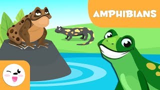 Amphibians for kids  Vertebrate animals  Natural Science For Kids [upl. by Sousa366]