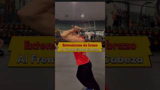 extensiones sobre cabeza triceps fuerza tipsgym masamuscular entrenamiento gym ejerciciosgym [upl. by Utir]