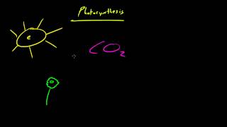 Biology Lecture  30  Autotrophs vs Heterotrophs [upl. by Htezzil]