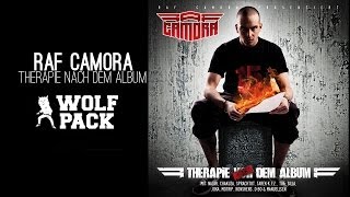 Raf Camora  Kranich  Therapie nach dem Album [upl. by Ahsenrat]