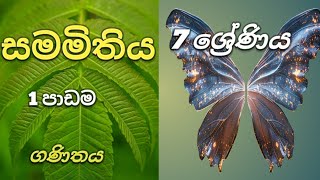 පාඩම 1  සමමිතිය  7 ශ්‍රේණිය ගණිතය lesson 1 Bilateral symmetry Maths grade 7 [upl. by Rafa961]