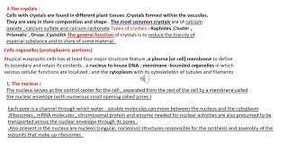 non protoplasmic and cell organelles [upl. by Fidelia]