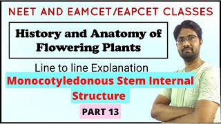 Monocotyledonous Stem Internal Structure  Anatomy of Flowering Plants  PART 13 [upl. by Alper]